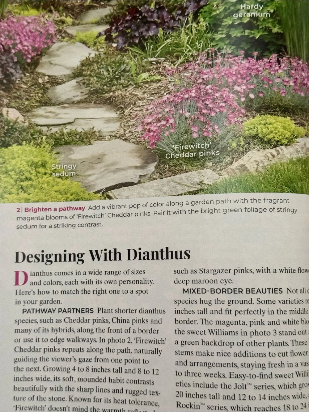 Garden Gate Magazine January/February 2025 Gardening Tips & Best New Plants